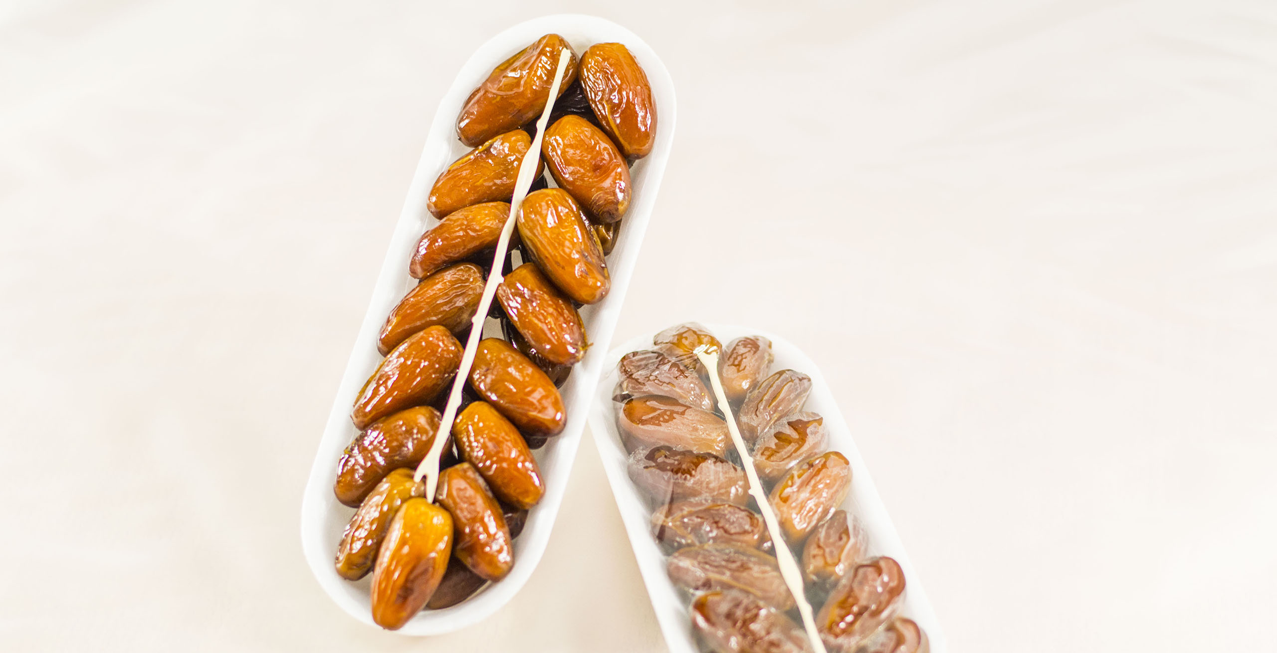 Nouri&Cie Deglet Nour Tunisia Major Tunisian dates exporter